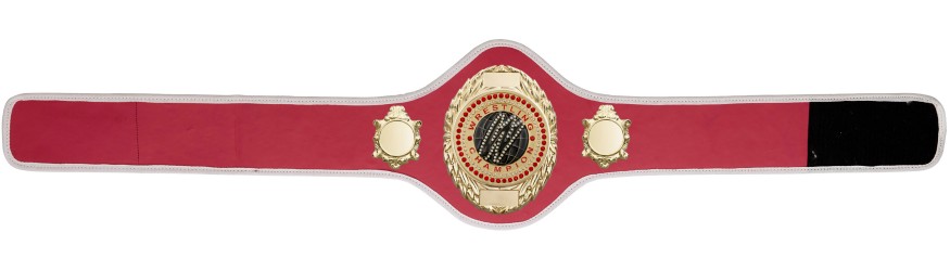 WRESTLING BELT-PRO286/G/WRESTGEMG-10+ COLOURS